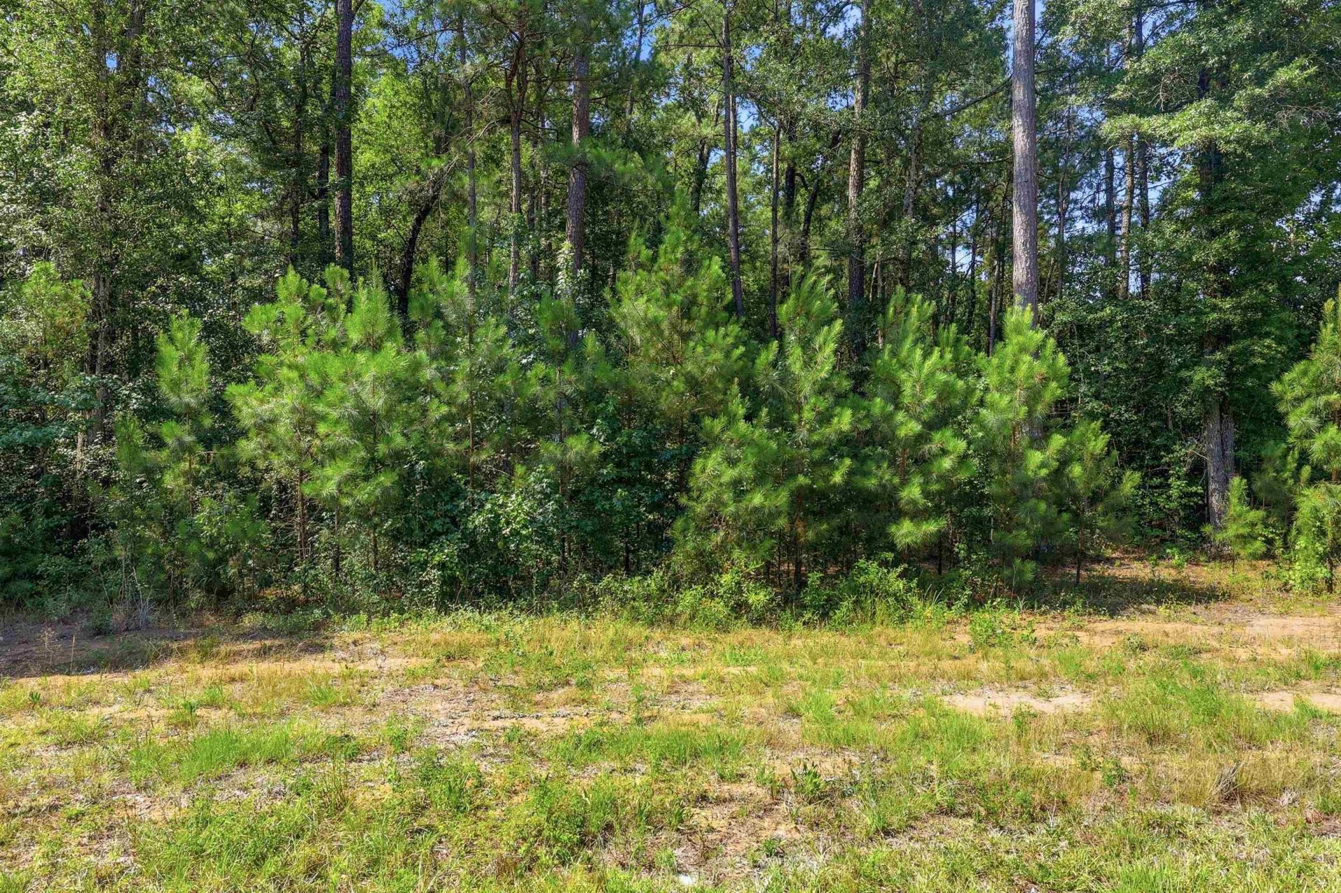 4107 Highway 378 Photo 3