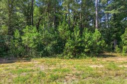 4107 Highway 378 photo 4