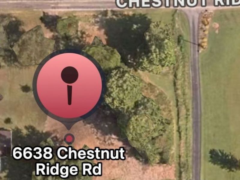 6638 Chestnut Ridge Road, Hubbard, OH 44425 Photo 2