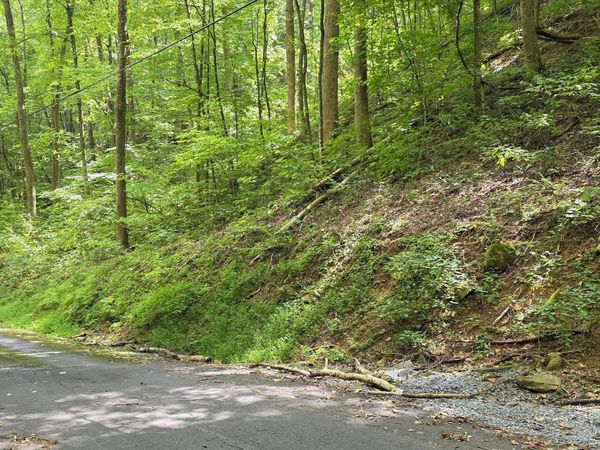 Lot 0025 Black Walnut Flats Rd, Sevierville, TN 37862