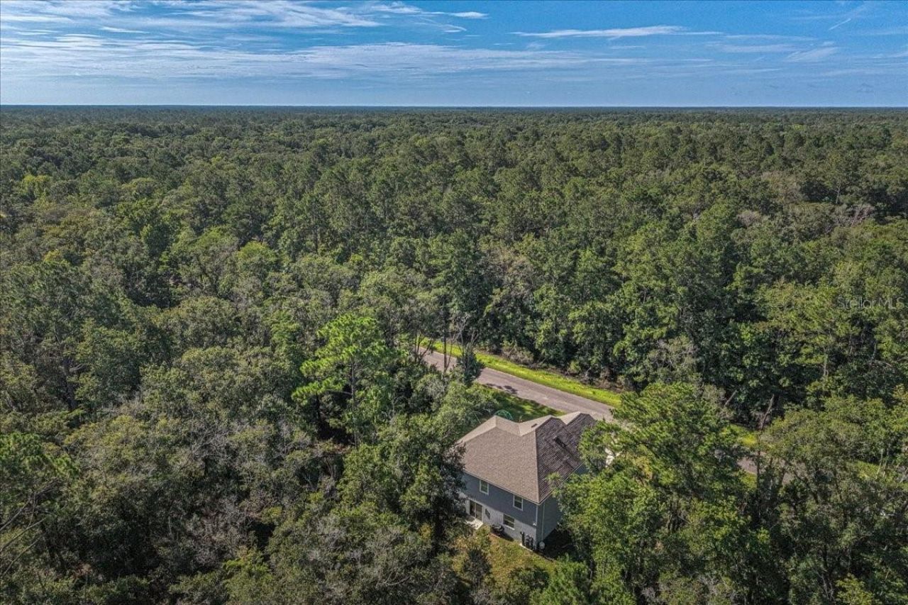 4856 Stephens Street, Hastings, FL 32145 Photo