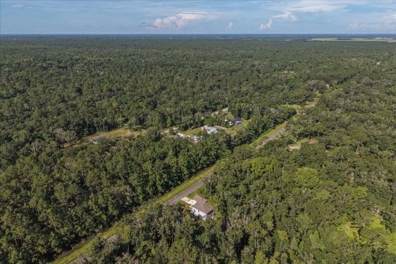4856 Stephens Street, Hastings, FL 32145 Photo