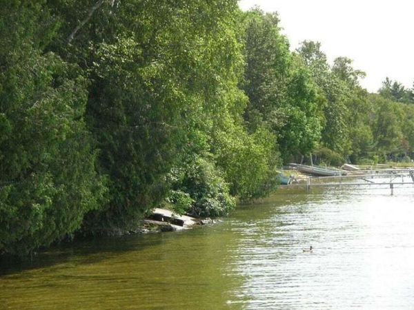 Lot 3C S Wegwas, Trout Lake, MI 49793