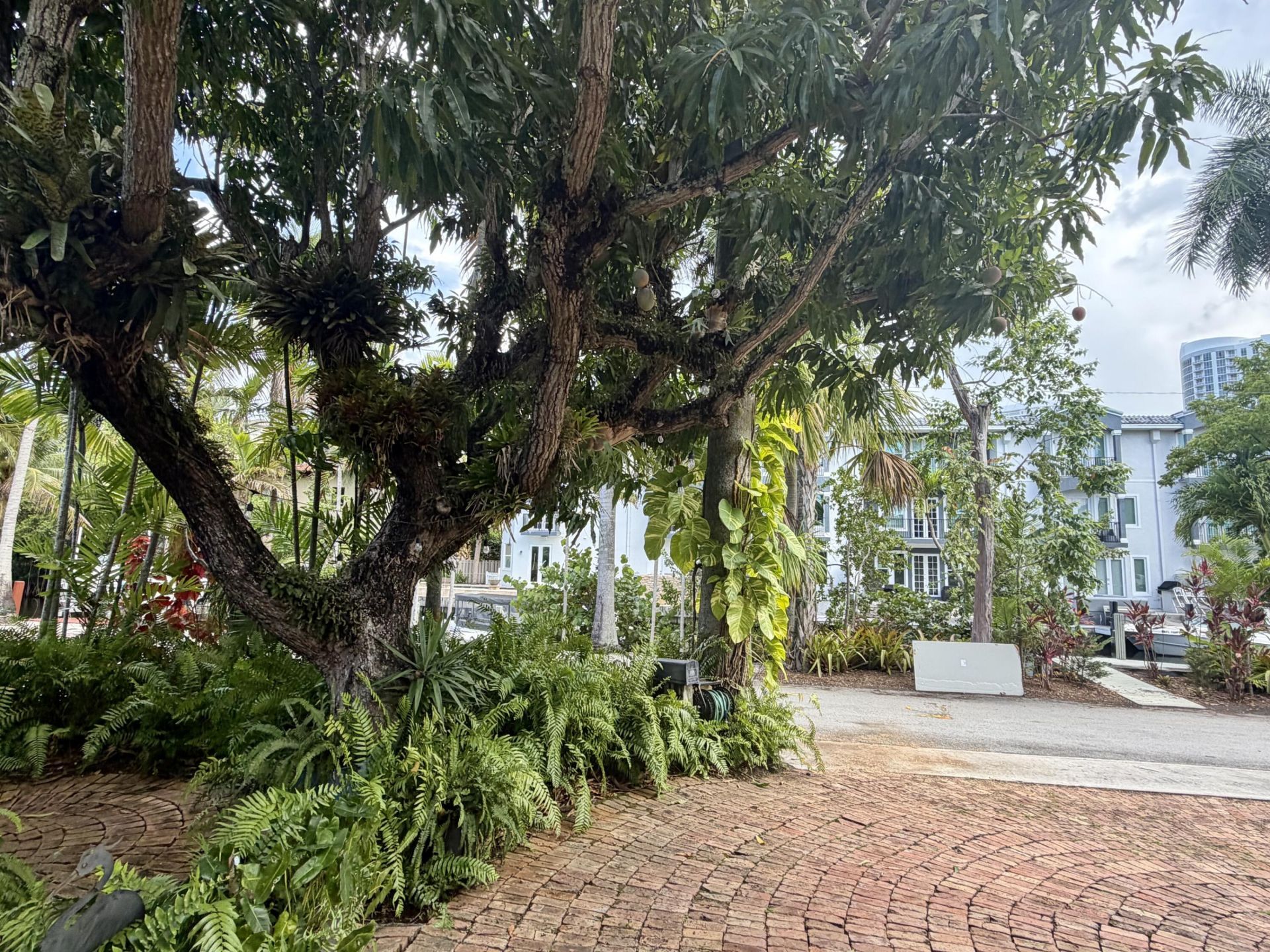 1101 SE 2nd Street, Fort Lauderdale, FL 33301 Photo