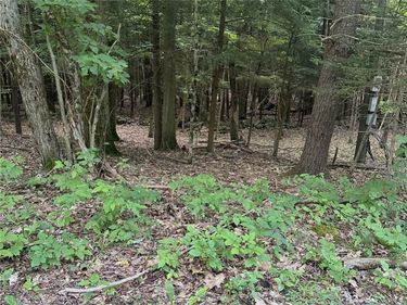 Deer Path, Jefferson, NY 12167