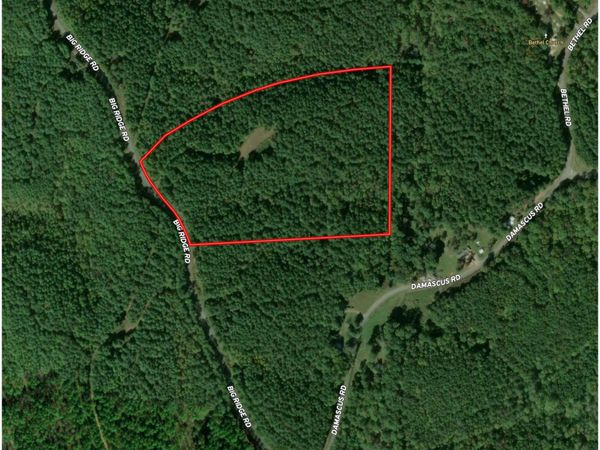 21 ACRES Big Ridge Road, Ranger, GA 30734