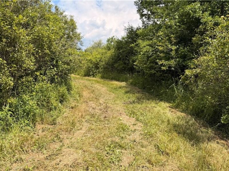 Leiby Osborne Road, Southington, OH 44470 Photo 10