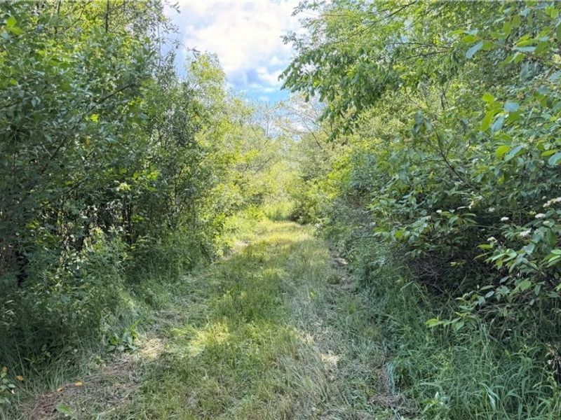 Leiby Osborne Road, Southington, OH 44470 Photo 15