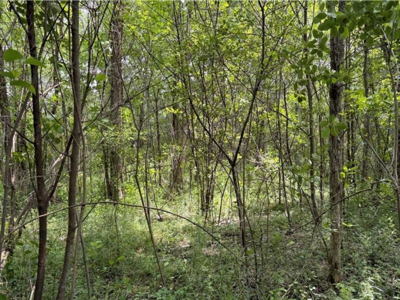 Leiby Osborne Road, Southington, OH 44470 Photo 17