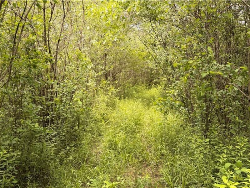 Leiby Osborne Road, Southington, OH 44470 Photo 2