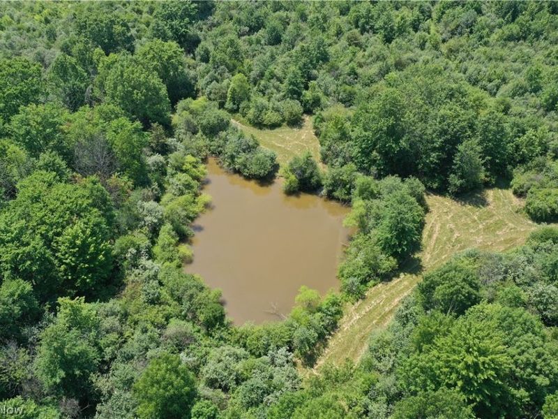Leiby Osborne Road, Southington, OH 44470 Photo 22