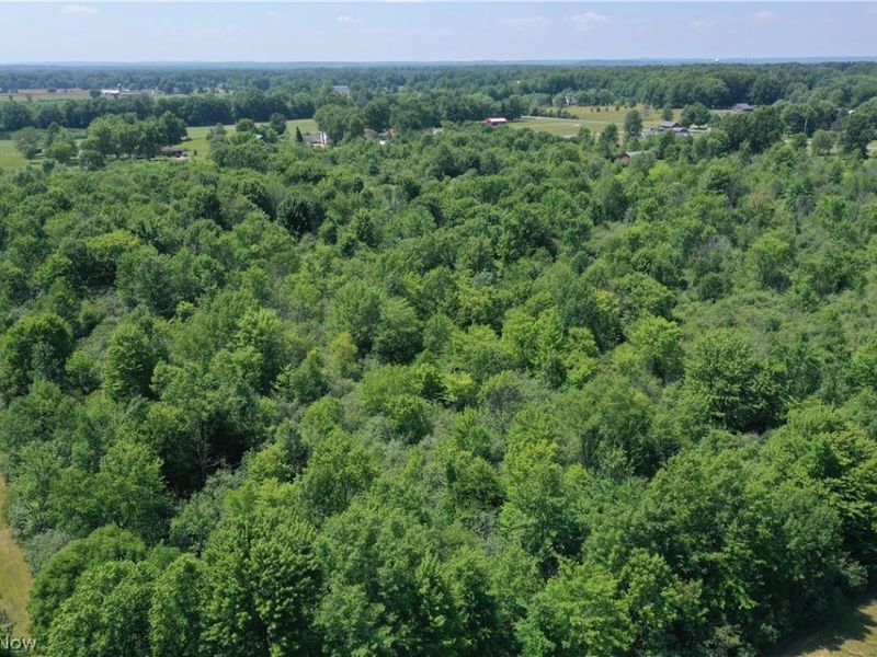 Leiby Osborne Road, Southington, OH 44470 Photo 24