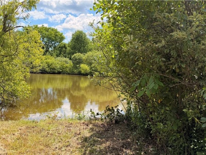 Leiby Osborne Road, Southington, OH 44470 Photo 5