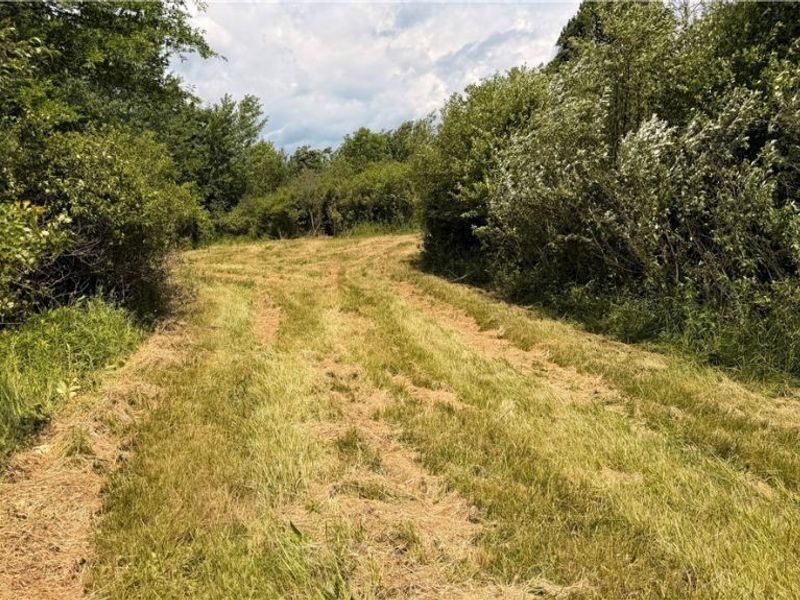 Leiby Osborne Road, Southington, OH 44470 Photo 8