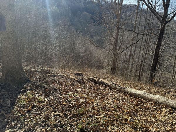 222 Knight Ln, Sutton, WV 26601