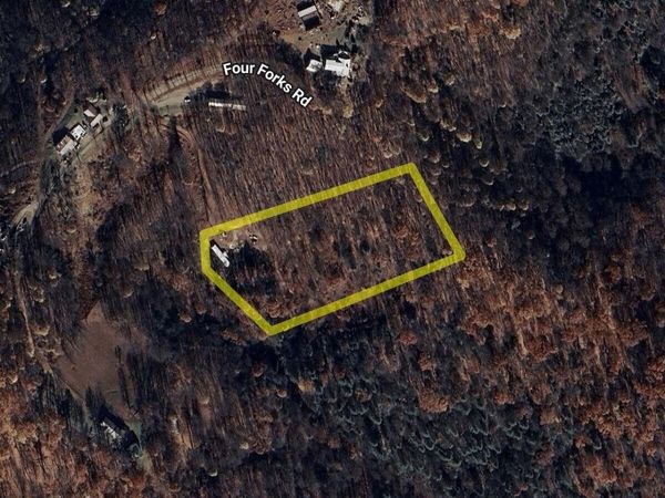 530 Four Forks Rd, French Creek, WV 26218