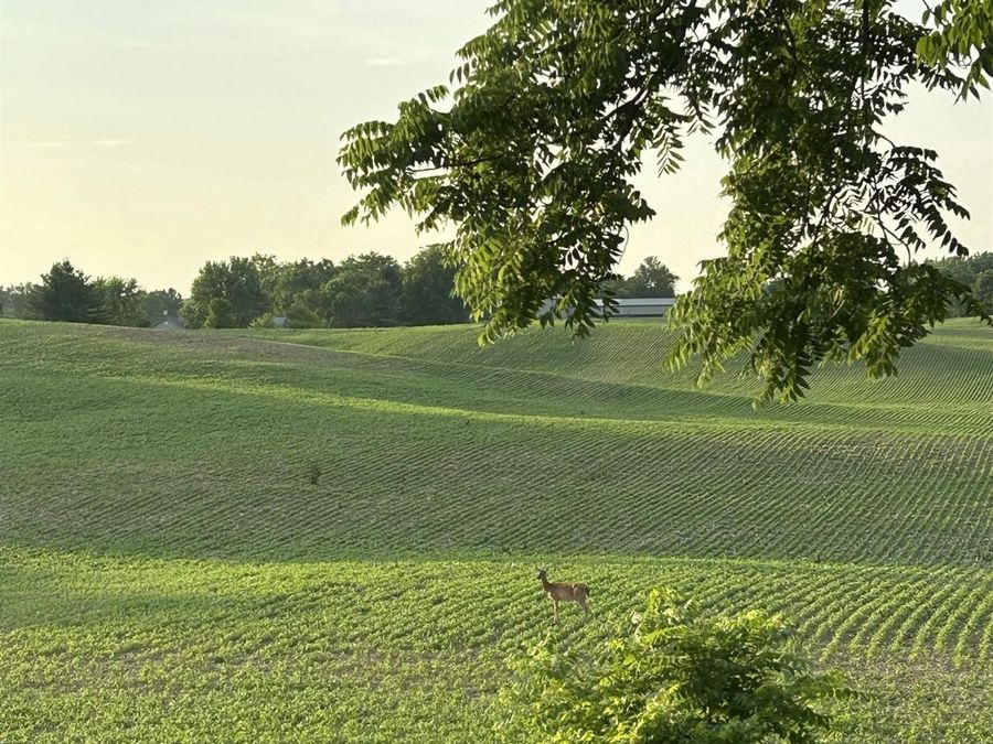 Property Image 36