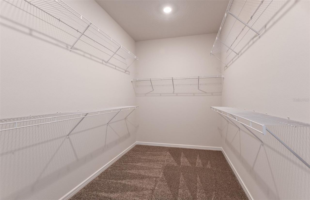 10057 Trellis Vine Way, Parrish, FL 34219 Photo