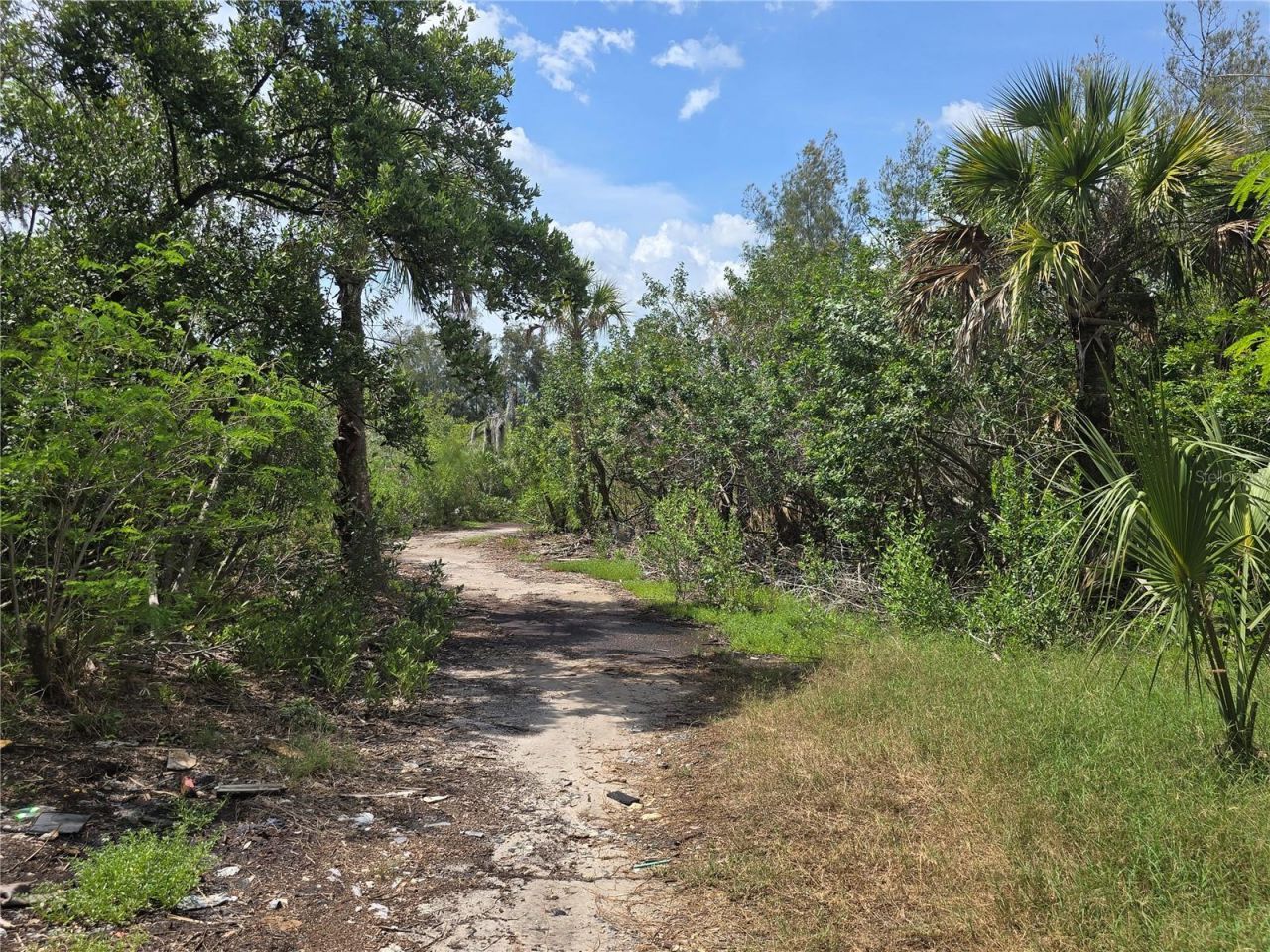 Main Street , New Port Richey, FL 34652 Photo