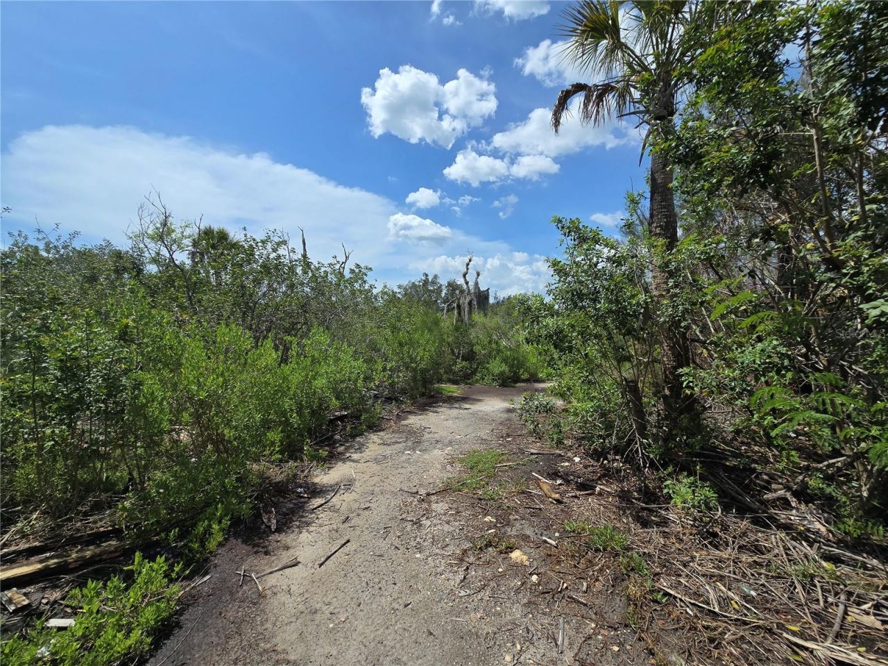 Main Street , New Port Richey, FL 34652 Photo