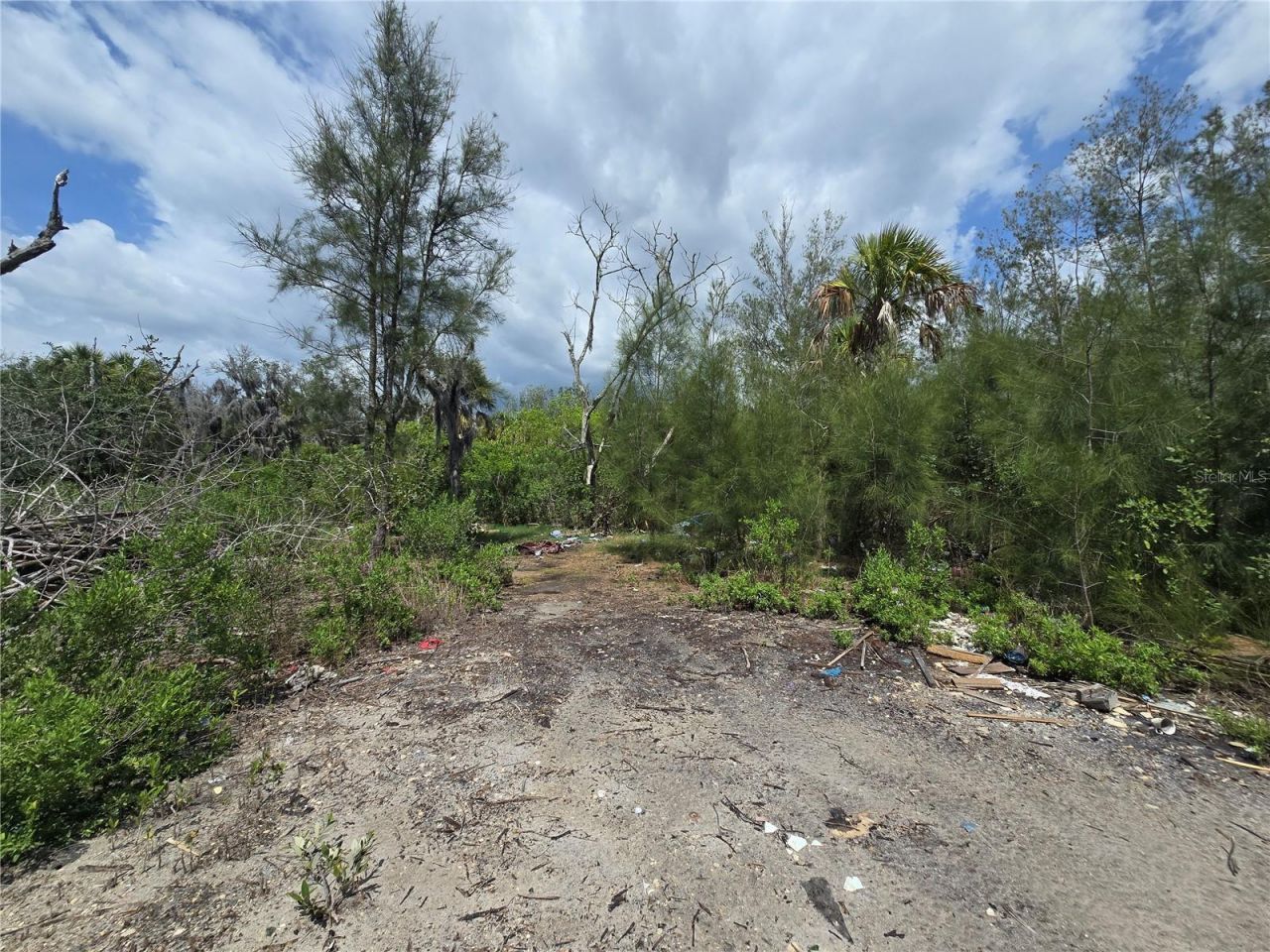 Main Street , New Port Richey, FL 34652 Photo