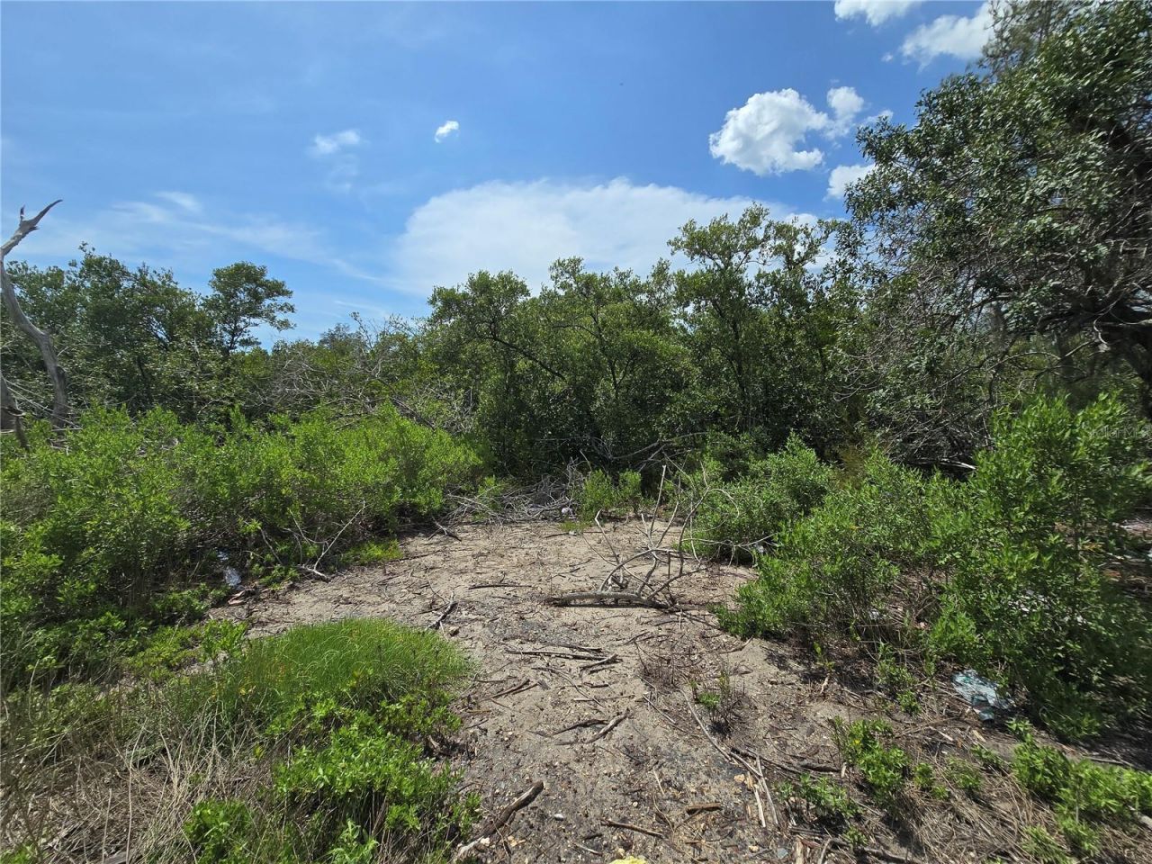 Main Street , New Port Richey, FL 34652 Photo