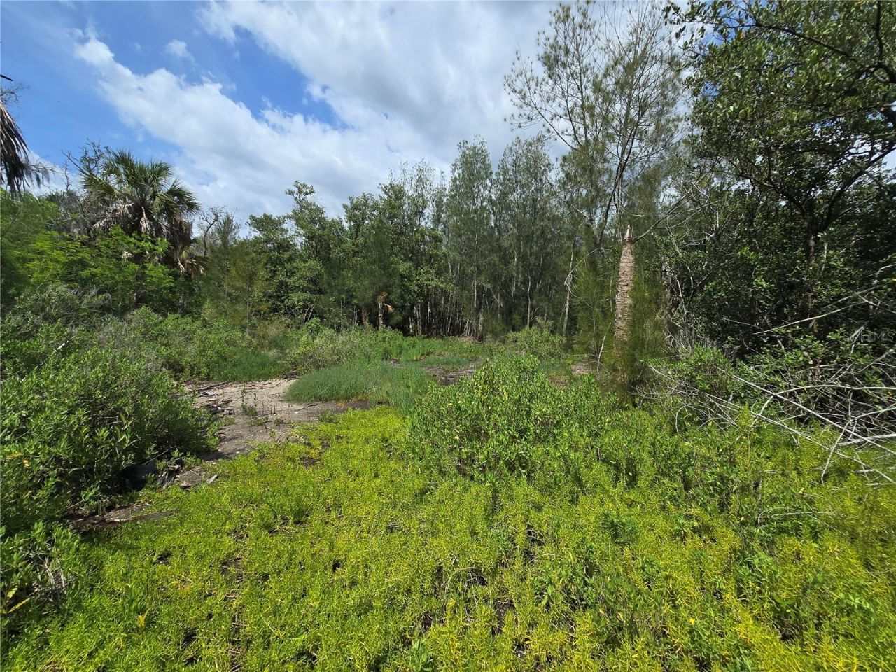 Main Street , New Port Richey, FL 34652 Photo