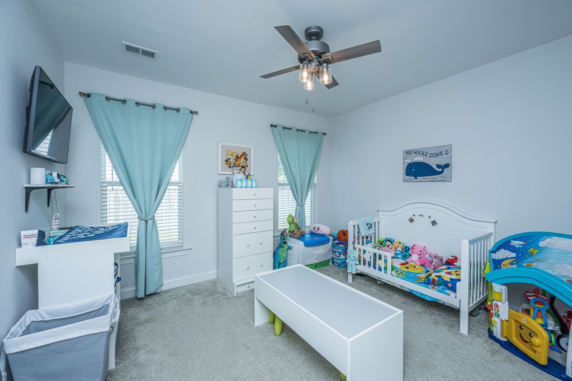 156 Lakelyn Road Photo 18