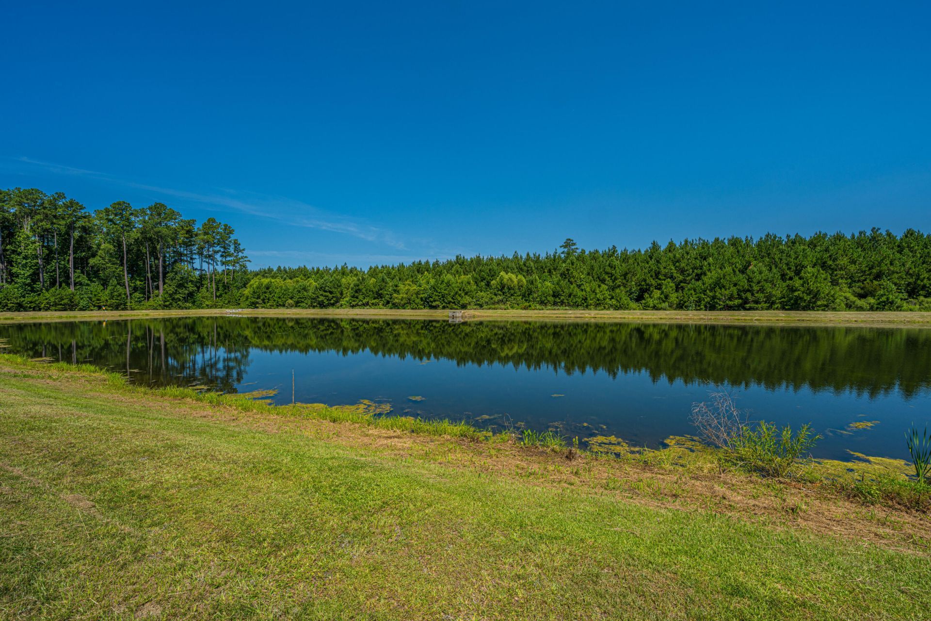 156 Lakelyn Road Photo 39