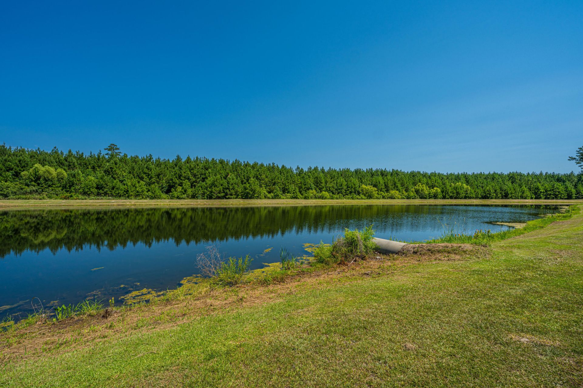 156 Lakelyn Road Photo 40