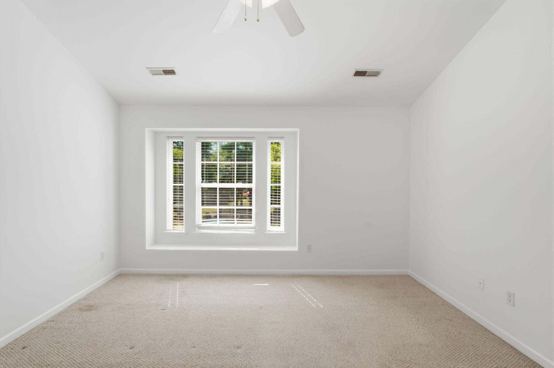 147 Darcy Avenue Photo 21