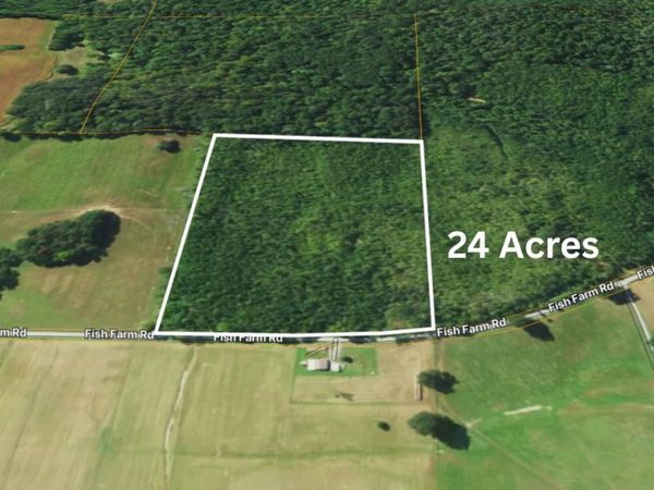 72 Fish Farm Road , Golconda, IL 62938