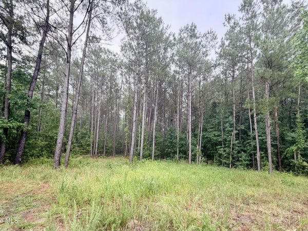 Tract F Us 421 , Currie, NC 28435