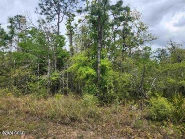 XXX NW Lake Center Road , Fountain, FL 32438