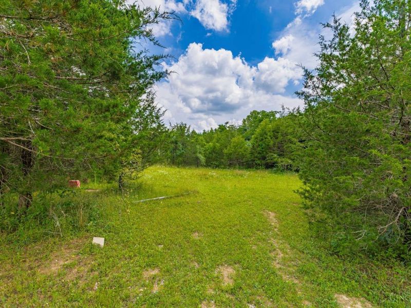252 Bradley Lane, West Union, OH 45693 Photo 14