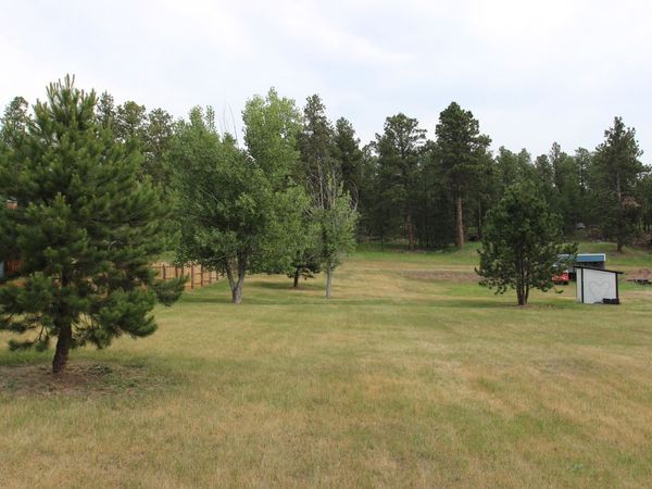 TBD Homestead Drive, Custer, SD 57730