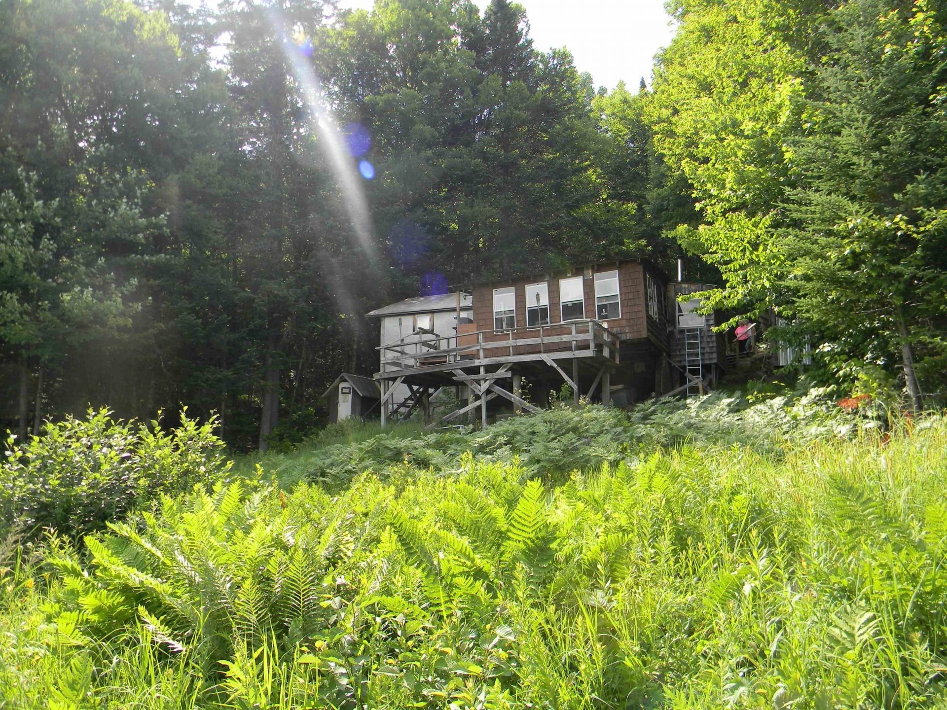 24 Nash Stream Road, Odell, NH 03582 Main Photo