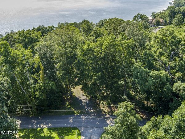 564 Bonne Vista Drive, White Pine, TN 37890
