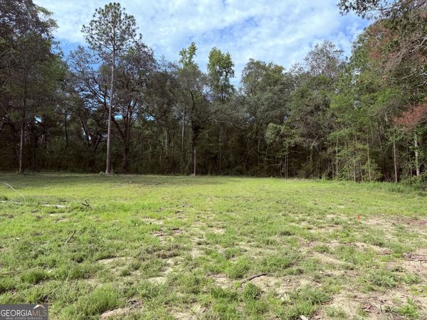 3980 Mosely Road Road, Claxton, GA 30417