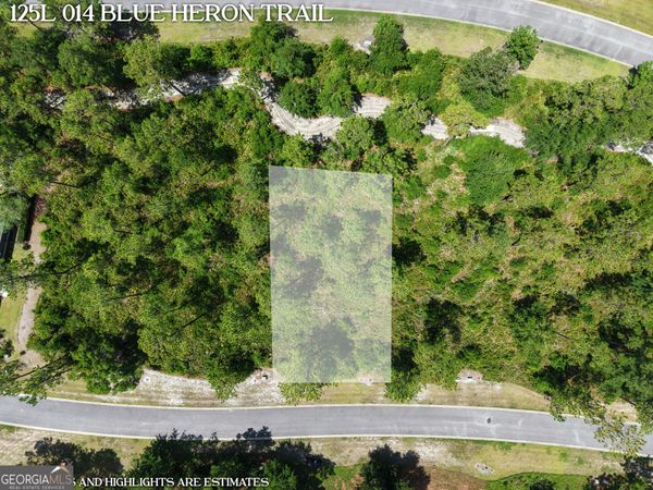 LOT 14 Blue Heron Trail, Waverly, GA 31565