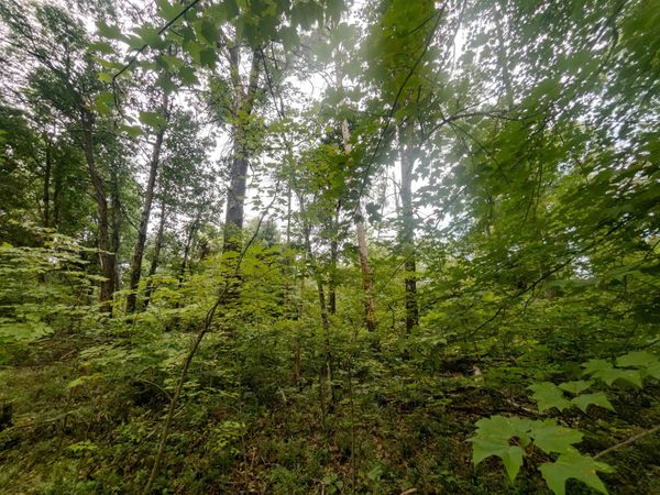 4.96ac 12th Street E, Necedah, WI 54646