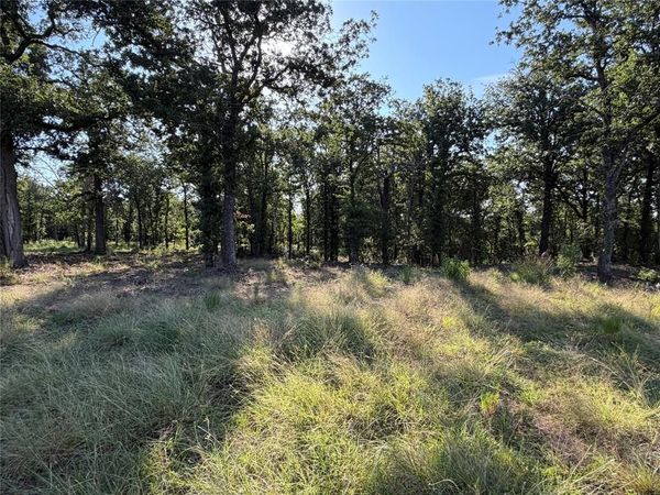 tbd Fm 56 , Morgan, TX 76671