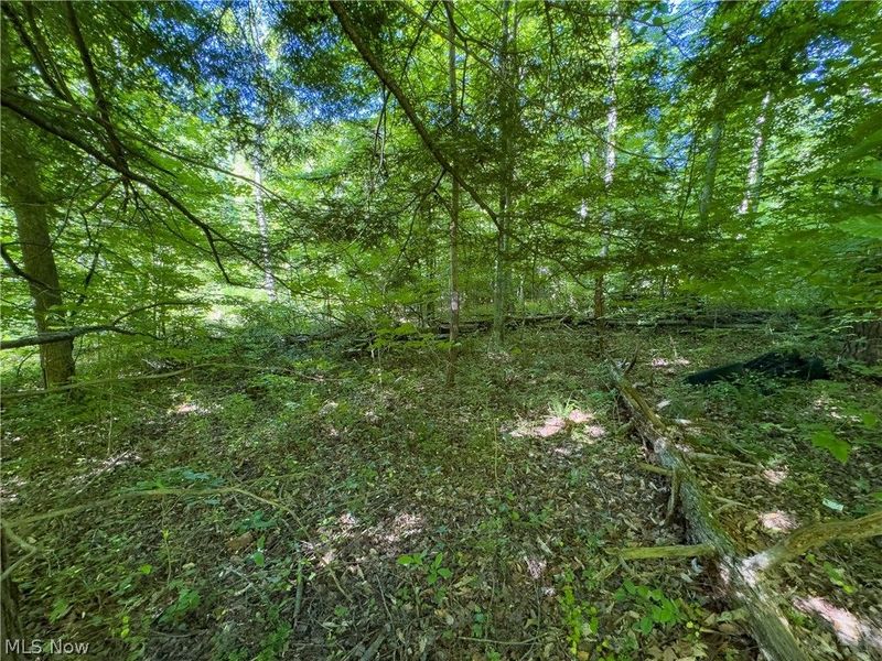 Tract 2 Jake Road, Patriot, OH 45658 Photo 11