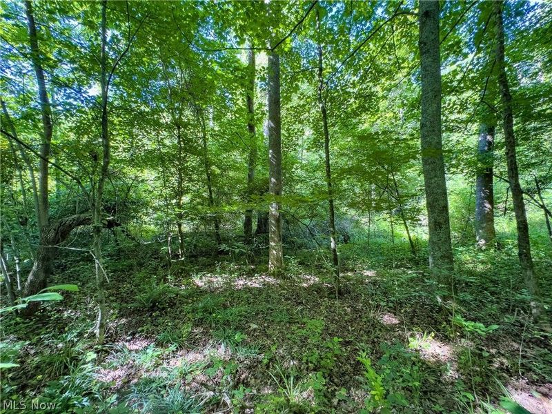 Tract 2 Jake Road, Patriot, OH 45658 Photo 13