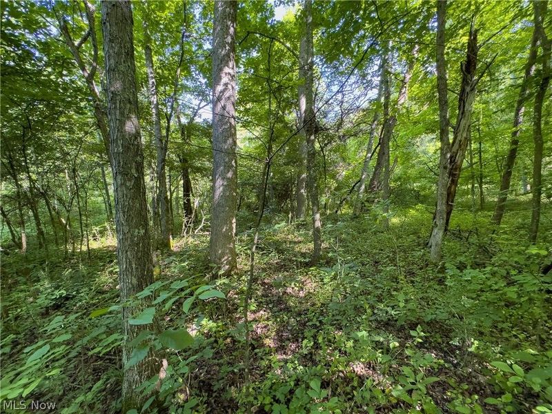 Tract 2 Jake Road, Patriot, OH 45658 Photo 15