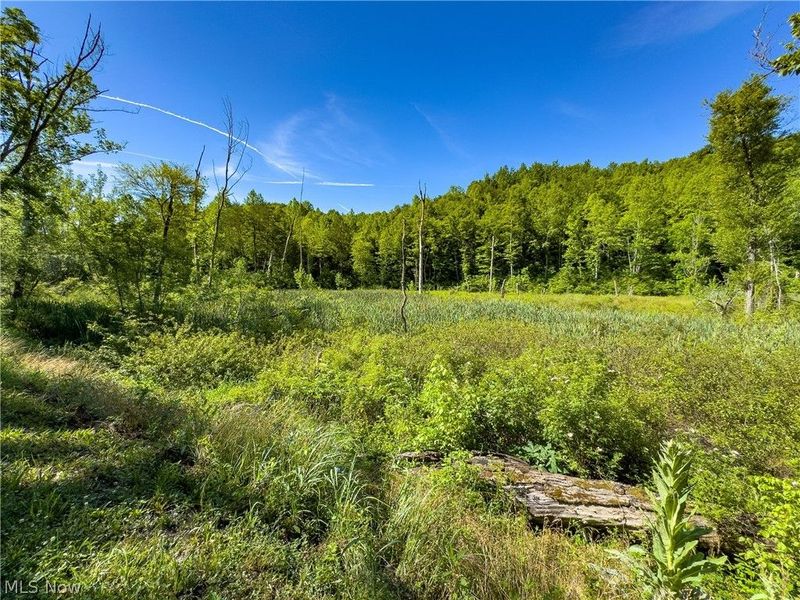 Tract 2 Jake Road, Patriot, OH 45658 Photo 16