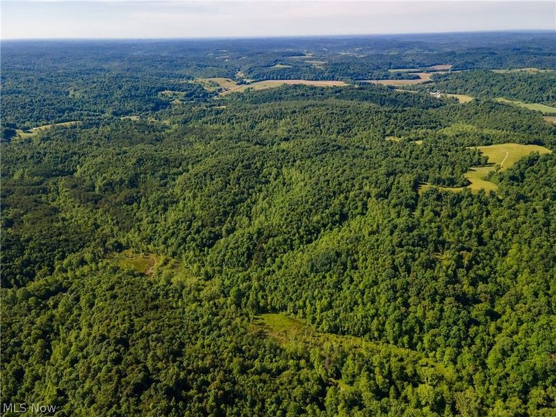 Tract 2 Jake Road, Patriot, OH 45658 Photo 17