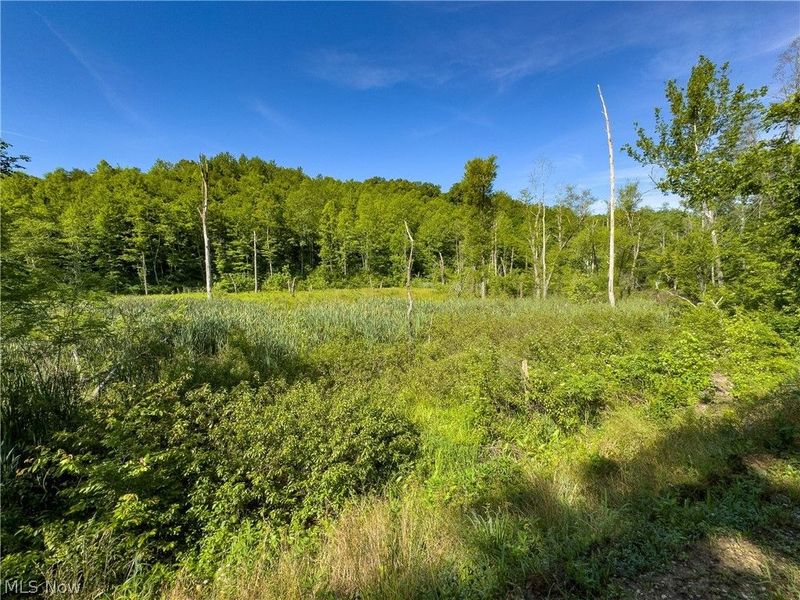 Tract 2 Jake Road, Patriot, OH 45658 Photo 5
