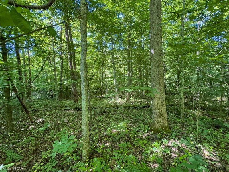 Tract 2 Jake Road, Patriot, OH 45658 Photo 7
