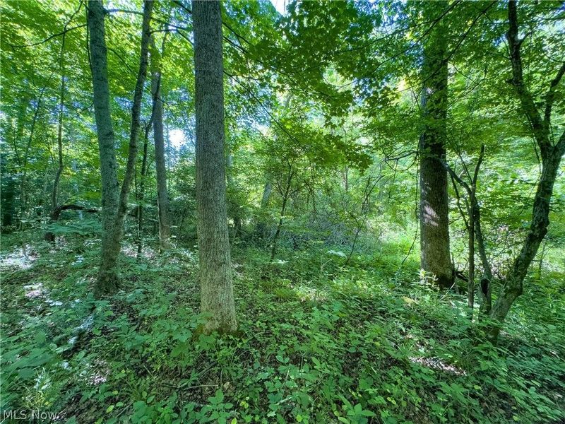 Tract 2 Jake Road, Patriot, OH 45658 Photo 9